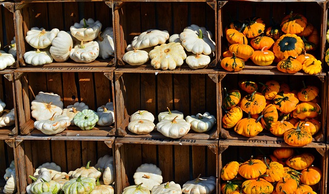 Eco-Friendly Yard Waste Management: A Composting Guide for Gardeners