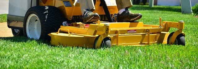 lawn-care-640x480-14065439.jpeg