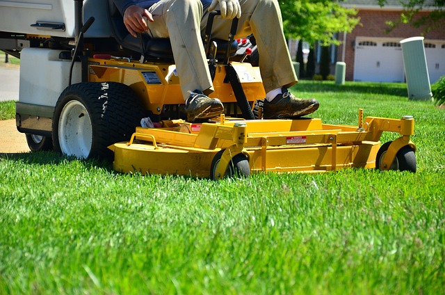 Optimizing Landscapes: A Guide to Installation and Maintenance of Effective Irrigation Systems for Lawn Care