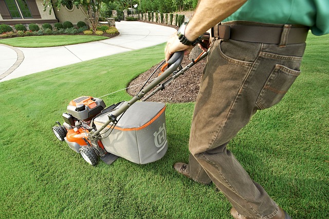 Optimizing Lawn Vigor: Fertilization & Weed Control Strategies for Healthy Turf