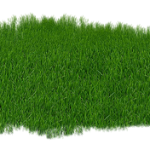 lawn-care-640x480-60877830.png