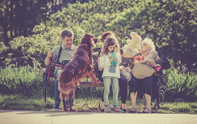 Join the Pack: Embrace Rewarding Pet Sitting and Dog Walking Careers