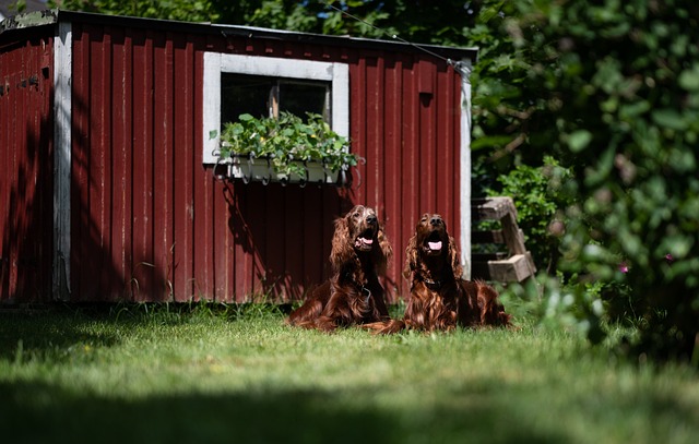 Eco-Friendly Lawn Debris Disposal: A Guide to Composting, Local Programs, and Professional Services