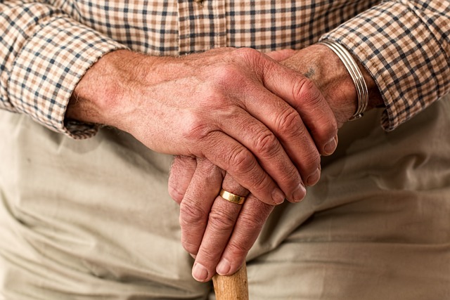 Elderly Companion Services: Enhancing Homebound Seniors’ Quality of Life