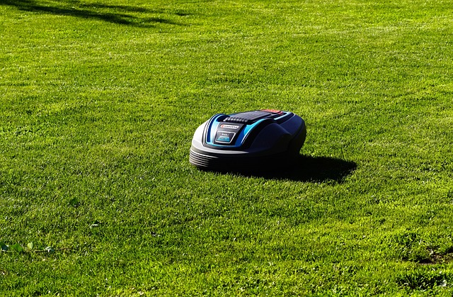 Optimizing Your Lawn with Professional Mowing Services: A Guide to Healthy Turf and Aesthetic Excellence