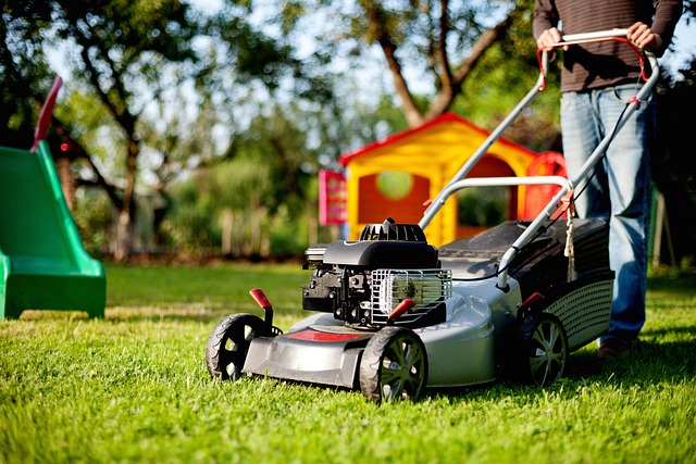 Optimizing Your Outdoor Space: The Advantages of Professional Lawn Mowing Services for Year-Round Maintenance