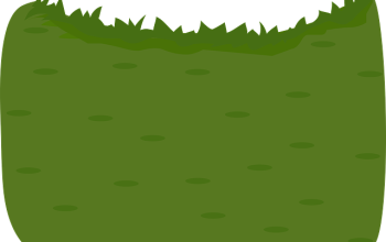 lawn-care-640x480-17389405.png