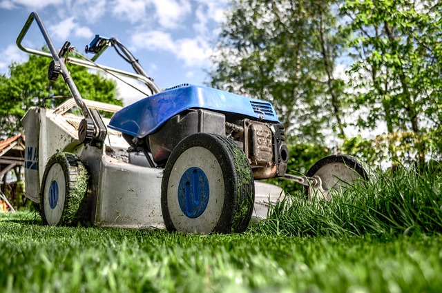 Mastering Lawn Care and Landscaping: Comprehensive Guide to Garden Maintenance