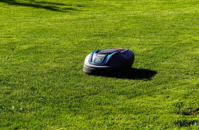 Lawn Care