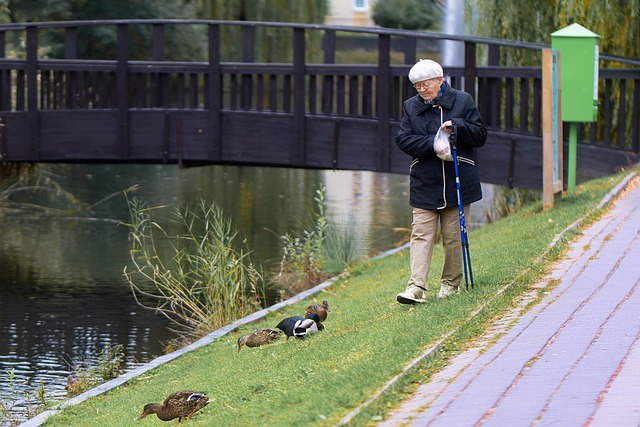 Elderly Companion Services: Enhancing Senior Quality of Life at Home