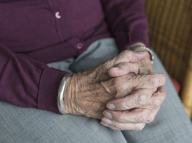 Elderly Companion Services: Alleviating Loneliness Among Seniors