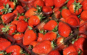 local-food-640x480-87864445.jpeg
