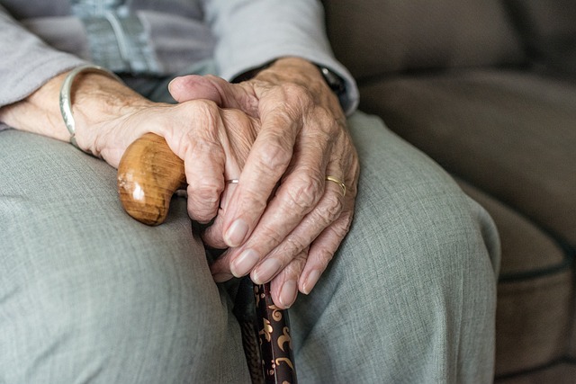 Compassionate Alzheimer’s Care: The Role of Elderly Companion Services