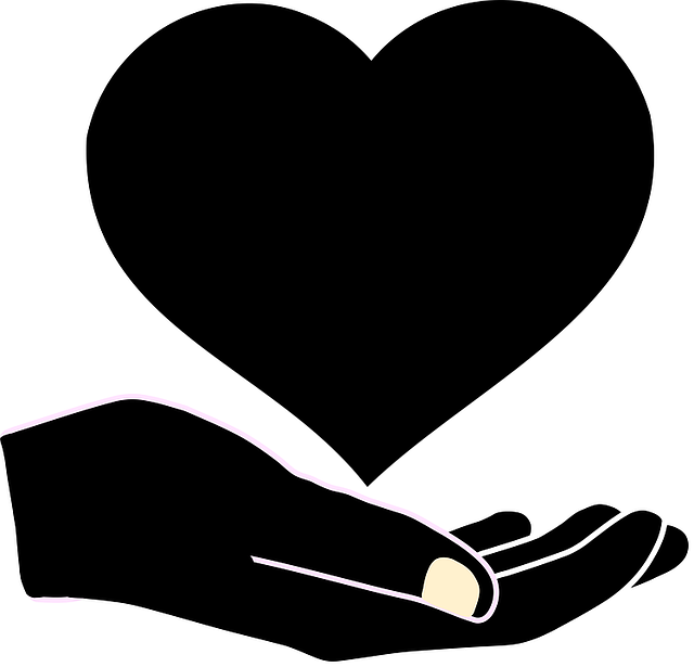 Elderly Companion Services: Enhancing Quality Home Care for Seniors