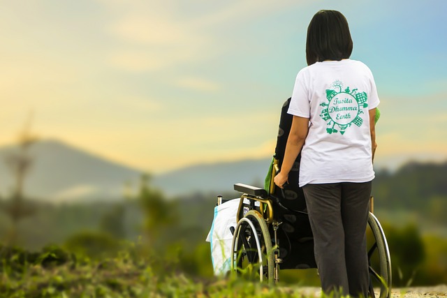 Lawn Care and Landscaping: Transform Your Yard with Joy