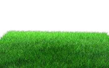 lawn-care-640x480-55822672.png