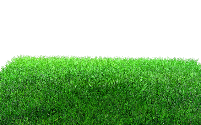 Mastering Outdoor Space: Comprehensive Guide to Lawn Care and Landscaping Design