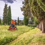lawn-care-640x480-8924029.jpeg