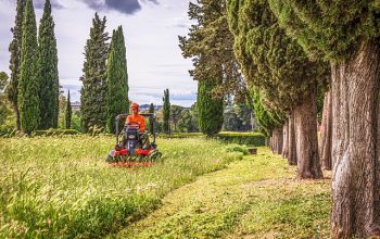 lawn-care-640x480-8924029.jpeg