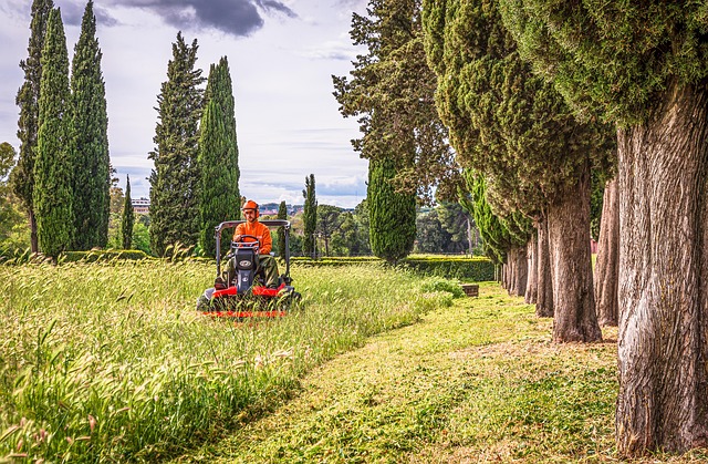 Lawn Care and Landscaping: Design Fundamentals for Outdoor Spaces