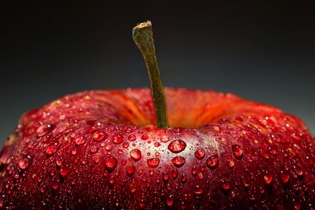 Meal Prep, Delivery Services: Customized Nutrition for Special Dietary Needs