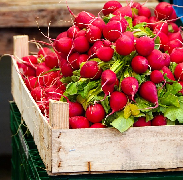 Local Food Delivery Services & Meal Prep Kits: From Breakfast to Dinner