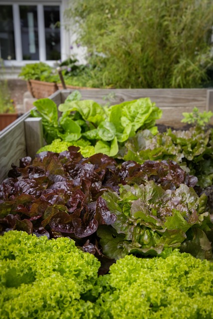Local Food