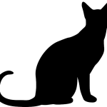 pet-sitting-640x480-61982467.png