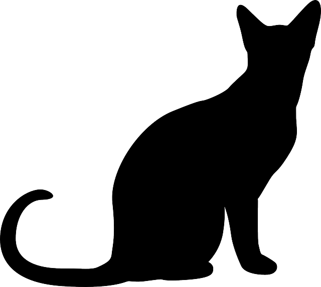 Pet Sitting & Dog Walking: Trends, Benefits, and Furry Friends’ Gain
