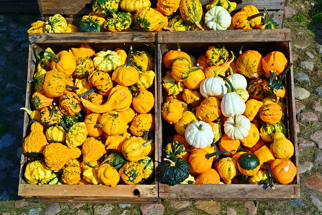 Efficient Yard Waste Management: Tips & DIY Solutions for Busy Homeowners
