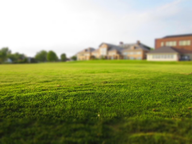 Organic Recycling: Sustainable Solutions for Eco-Friendly Homes