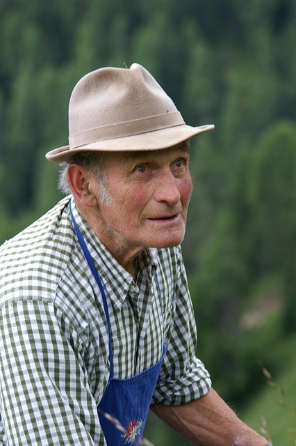 Elderly Companion Services: Relieving Caregiver Burden, Enhancing Quality of Life