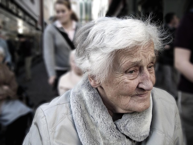 Efficient Errand Running: Elderly Companion Services for Busy Caregivers