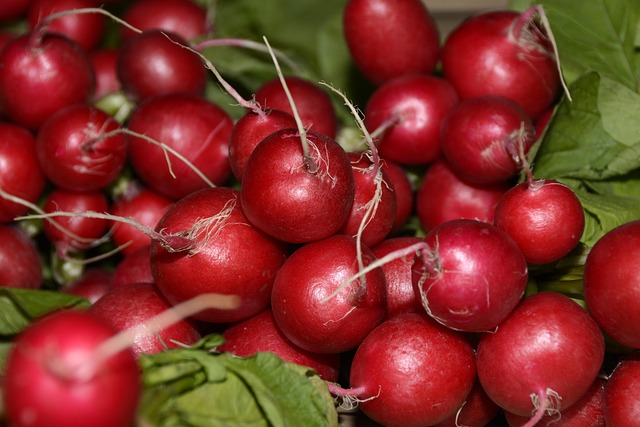 Local Food