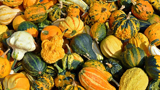 Efficient Leaf Collection & Mulching: Eco-Friendly Yard Waste Recycling