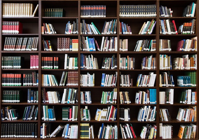 Empowering Learners: Local Tutoring and Personalized Education Services