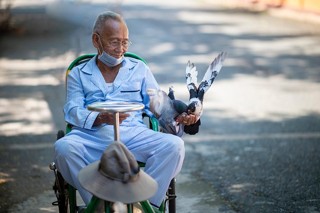 Enhance Quality of Life: Elderly Companion Services at Home