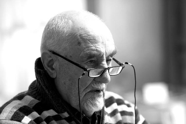 Elderly Companion Services: Enhancing Quality Home Life