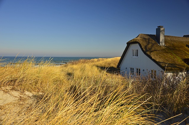 Local House Sitting: Trustworthy Sitters for Peace of Mind
