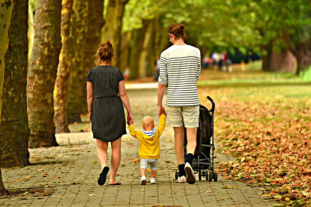 Lawn Care & Landscaping: Transforming Spaces for Ultimate Curb Appeal