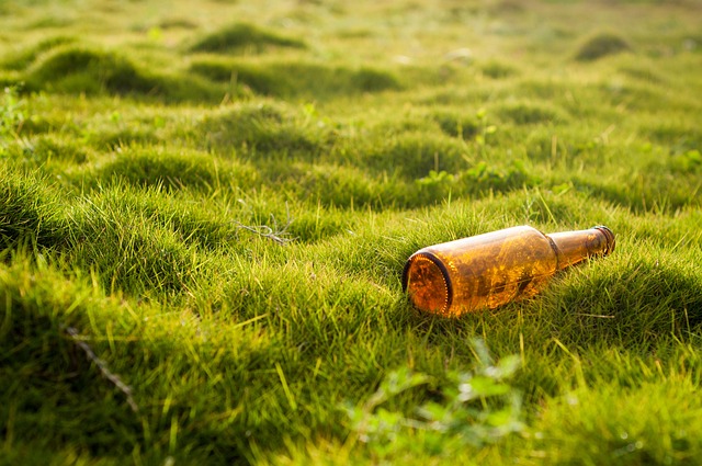 Lawn Care