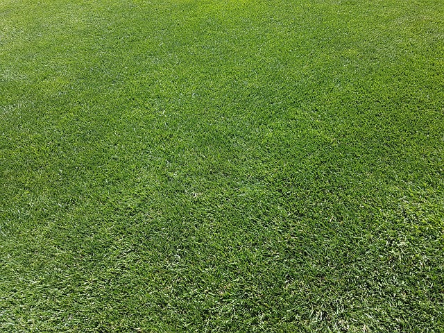 Expert Lawn Care & Landscaping: Transform Your Residential Space