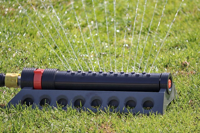 Transform Your Yard: Professional Lawn Care & Landscaping Solutions
