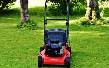 lawn-care-640x480-73014141.jpeg