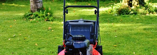 lawn-care-640x480-73014141.jpeg