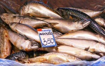 local-food-640x480-58505177.jpeg