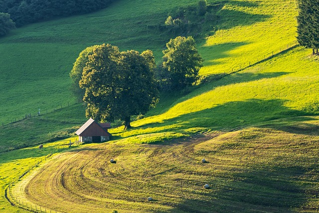 Simplifying Yard Waste: Recycling and Reuse Solutions